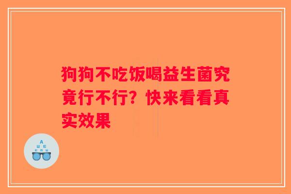 狗狗不吃饭喝益生菌究竟行不行？快来看看真实效果