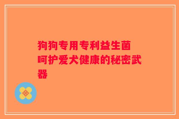 狗狗专用专利益生菌 呵护爱犬健康的秘密武器