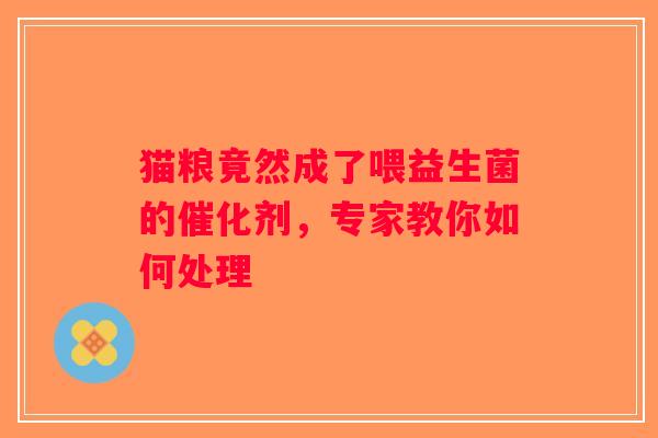 猫粮竟然成了喂益生菌的催化剂，专家教你如何处理