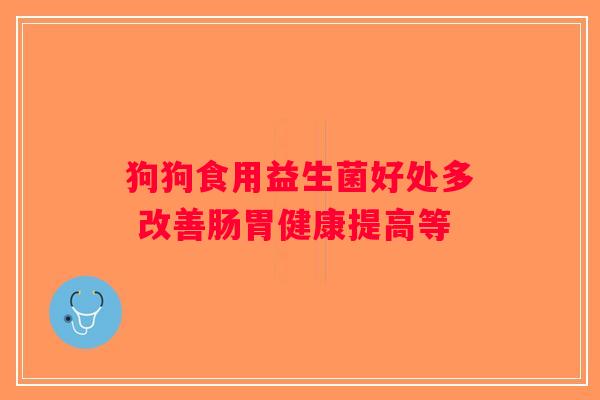 狗狗食用益生菌好处多 改善肠胃健康提高等