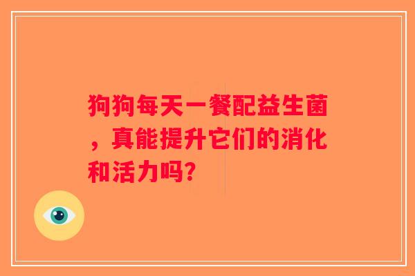 狗狗每天一餐配益生菌，真能提升它们的消化和活力吗？