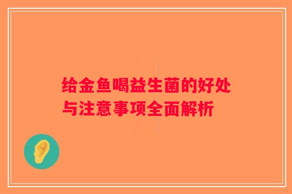 给金鱼喝益生菌的好处与注意事项全面解析