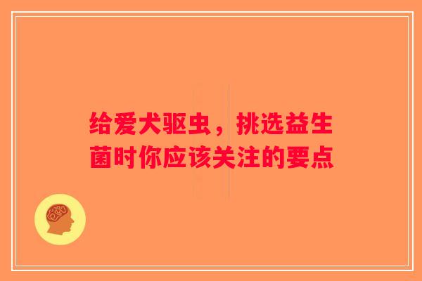 给爱犬驱虫,挑选益生菌时你应该关注的要点 给爱犬驱虫,挑选益生菌时你应该关注的要点