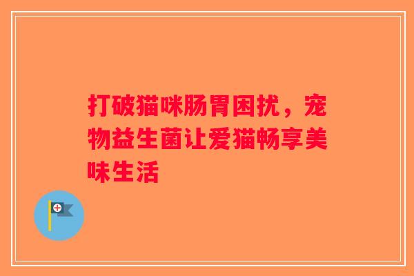 打破猫咪肠胃困扰,宠物益生菌让爱猫畅享美味生活 打破猫咪肠胃困扰,宠物益生菌让爱猫畅享美味生活