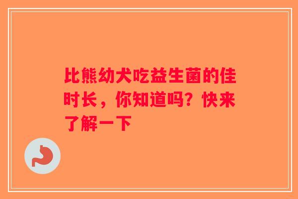 比熊幼犬吃益生菌的佳时长,你知道吗?快来了解一下 比熊幼犬吃益生菌的佳时长,你知道吗?快来了解一下