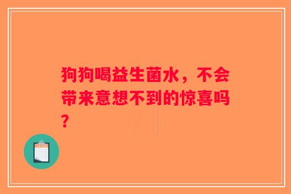 狗狗喝益生菌水,不会带来意想不到的惊喜吗? 狗狗喝益生菌水,不会带来意想不到的惊喜吗?