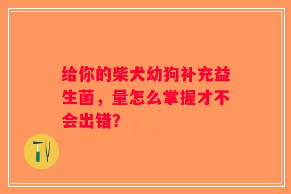 给你的柴犬幼狗补充益生菌,量怎么掌握才不会出错? 给你的柴犬幼狗补充益生菌,量怎么掌握才不会出错?