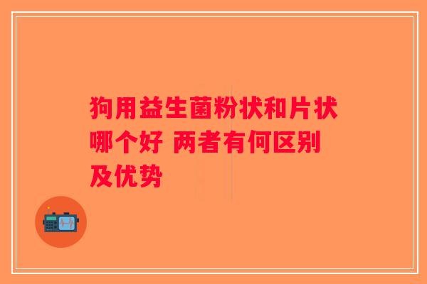 狗用益生菌粉状和片状哪个好 两者有何区别及优势