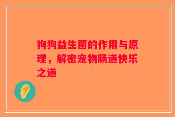 狗狗益生菌的作用与原理，解密宠物肠道快乐之道