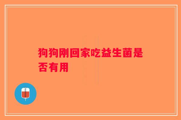 狗狗刚回家吃益生菌是否有用 狗狗刚回家吃益生菌是否有用