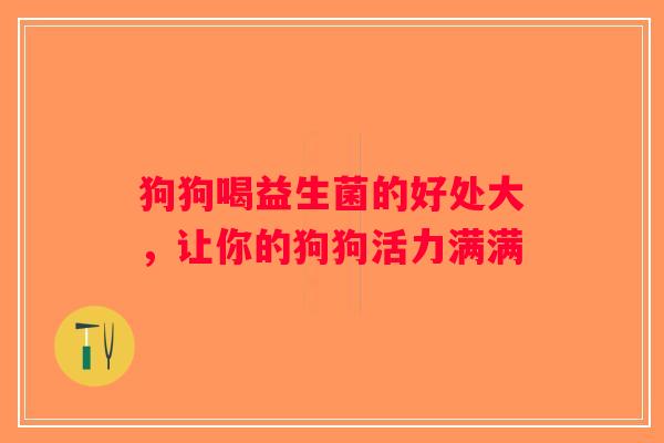 狗狗喝益生菌的好处大,让你的狗狗活力满满 狗狗喝益生菌的好处大,让你的狗狗活力满满