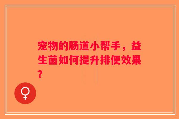 宠物的肠道小帮手,益生菌如何提升排便效果? 宠物的肠道小帮手,益生菌如何提升排便效果?