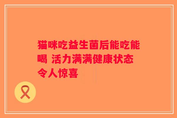 猫咪吃益生菌后能吃能喝 活力满满健康状态令人惊喜 猫咪吃益生菌后能吃能喝 活力满满健康状态令人惊喜