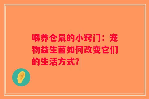 喂养仓鼠的小窍门:宠物益生菌如何改变它们的生活方式? 喂养仓鼠的小窍门:宠物益生菌如何改变它们的生活方式?