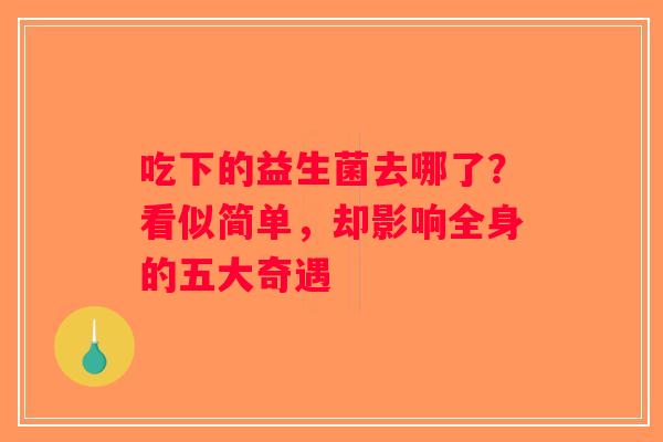 吃下的益生菌去哪了?看似简单,却影响全身的五大奇遇 吃下的益生菌去哪了?看似简单,却影响全身的五大奇遇