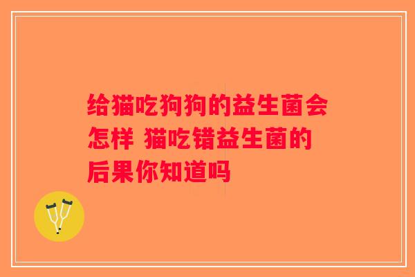 给猫吃狗狗的益生菌会怎样 猫吃错益生菌的后果你知道吗 给猫吃狗狗的益生菌会怎样 猫吃错益生菌的后果你知道吗