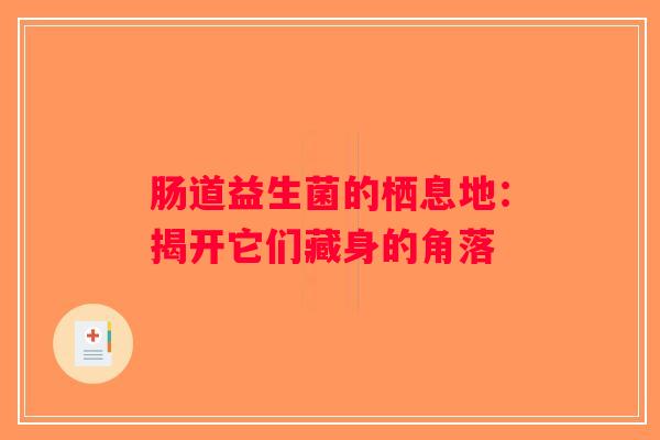 肠道益生菌的栖息地:揭开它们藏身的角落 肠道益生菌的栖息地:揭开它们藏身的角落