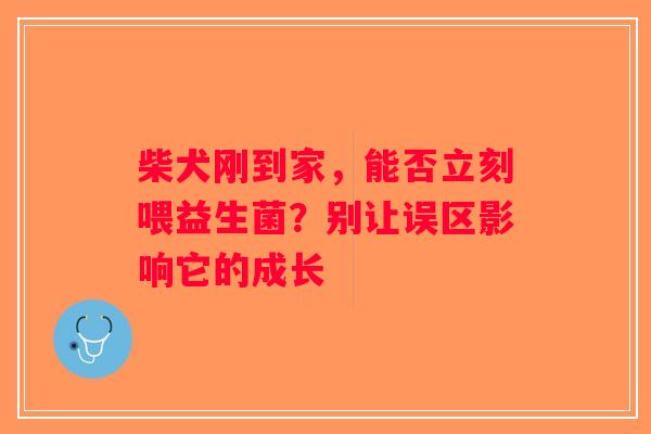柴犬刚到家,能否立刻喂益生菌?别让误区影响它的成长 柴犬刚到家,能否立刻喂益生菌?别让误区影响它的成长