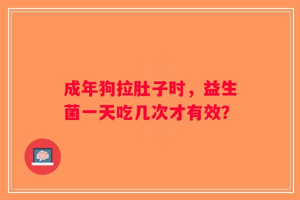 成年狗拉肚子时,益生菌一天吃几次才有效? 成年狗拉肚子时,益生菌一天吃几次才有效?