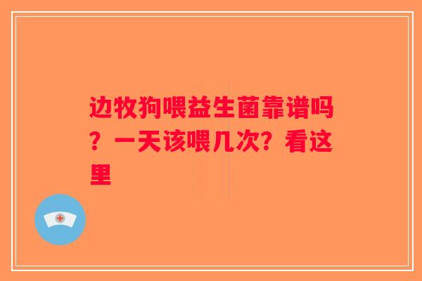 边牧狗喂益生菌靠谱吗?一天该喂几次?看这里 边牧狗喂益生菌靠谱吗?一天该喂几次?看这里