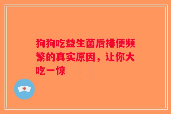 狗狗吃益生菌后排便频繁的真实原因,让你大吃一惊 狗狗吃益生菌后排便频繁的真实原因,让你大吃一惊