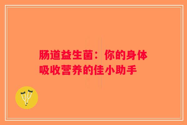 肠道益生菌:你的身体吸收营养的佳小助手 肠道益生菌:你的身体吸收营养的佳小助手