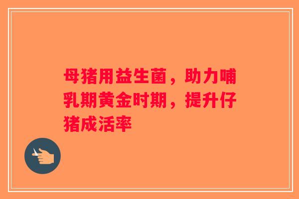 母猪用益生菌,助力哺乳期黄金时期,提升仔猪成活率 母猪用益生菌,助力哺乳期黄金时期,提升仔猪成活率