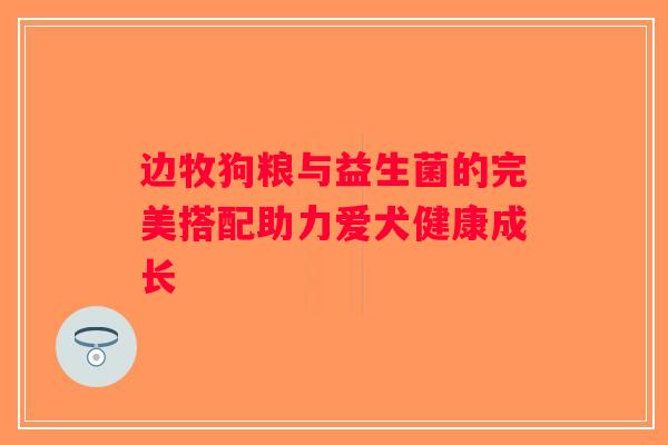 边牧狗粮与益生菌的完美搭配助力爱犬健康成长 边牧狗粮与益生菌的完美搭配助力爱犬健康成长