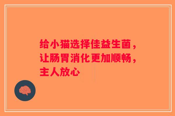 给小猫选择佳益生菌,让肠胃消化更加顺畅,主人放心 给小猫选择佳益生菌,让肠胃消化更加顺畅,主人放心
